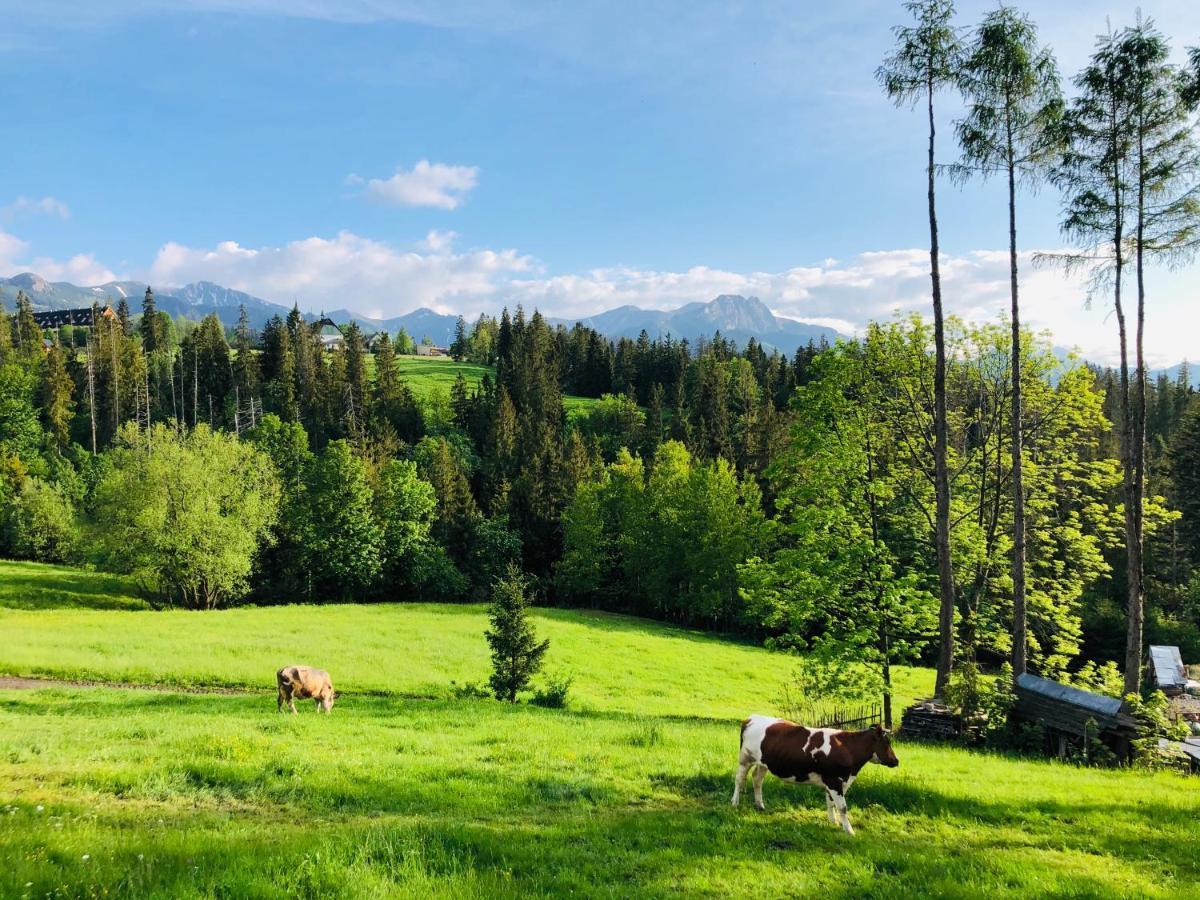 Tatrzanska Polana 5F Daire Zakopane Dış mekan fotoğraf